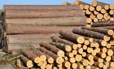 Wood Industry